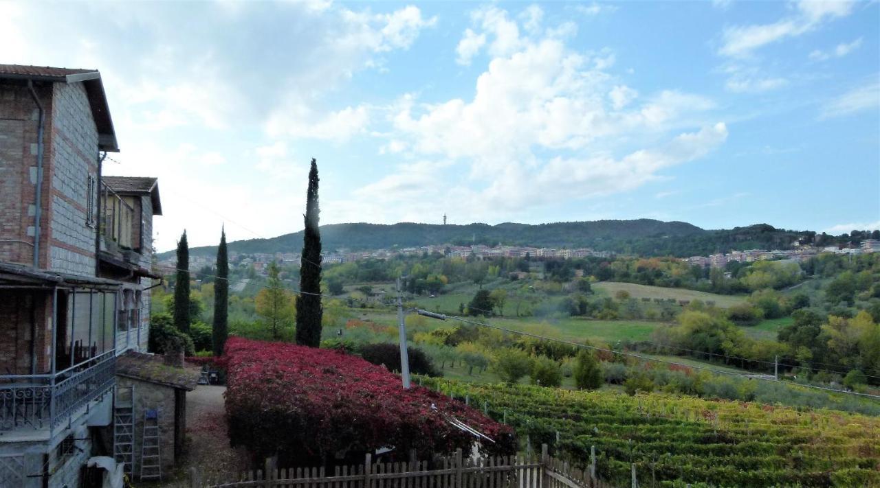 Agriturismo La Pietriccia Chianciano Terme Eksteriør bilde