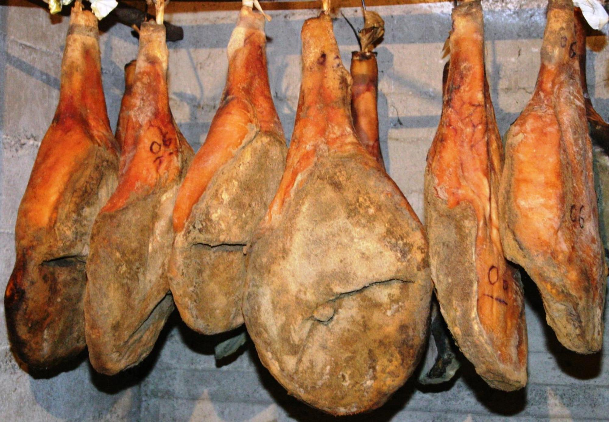 Agriturismo La Pietriccia Chianciano Terme Eksteriør bilde