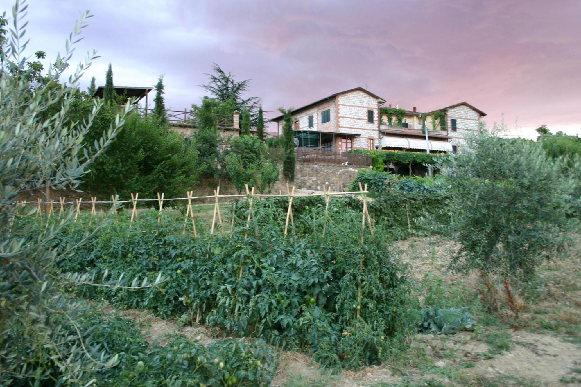Agriturismo La Pietriccia Chianciano Terme Eksteriør bilde