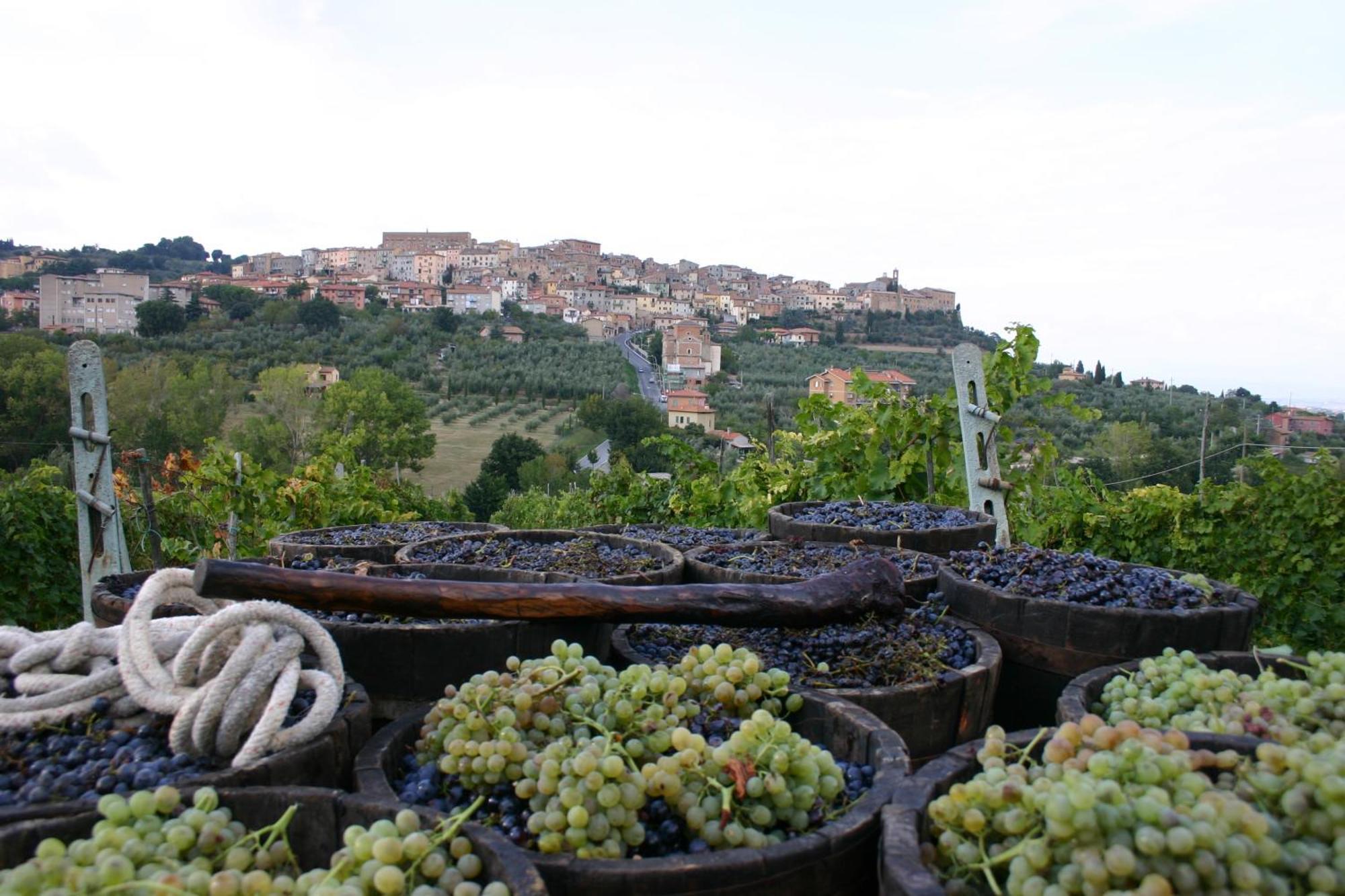 Agriturismo La Pietriccia Chianciano Terme Eksteriør bilde