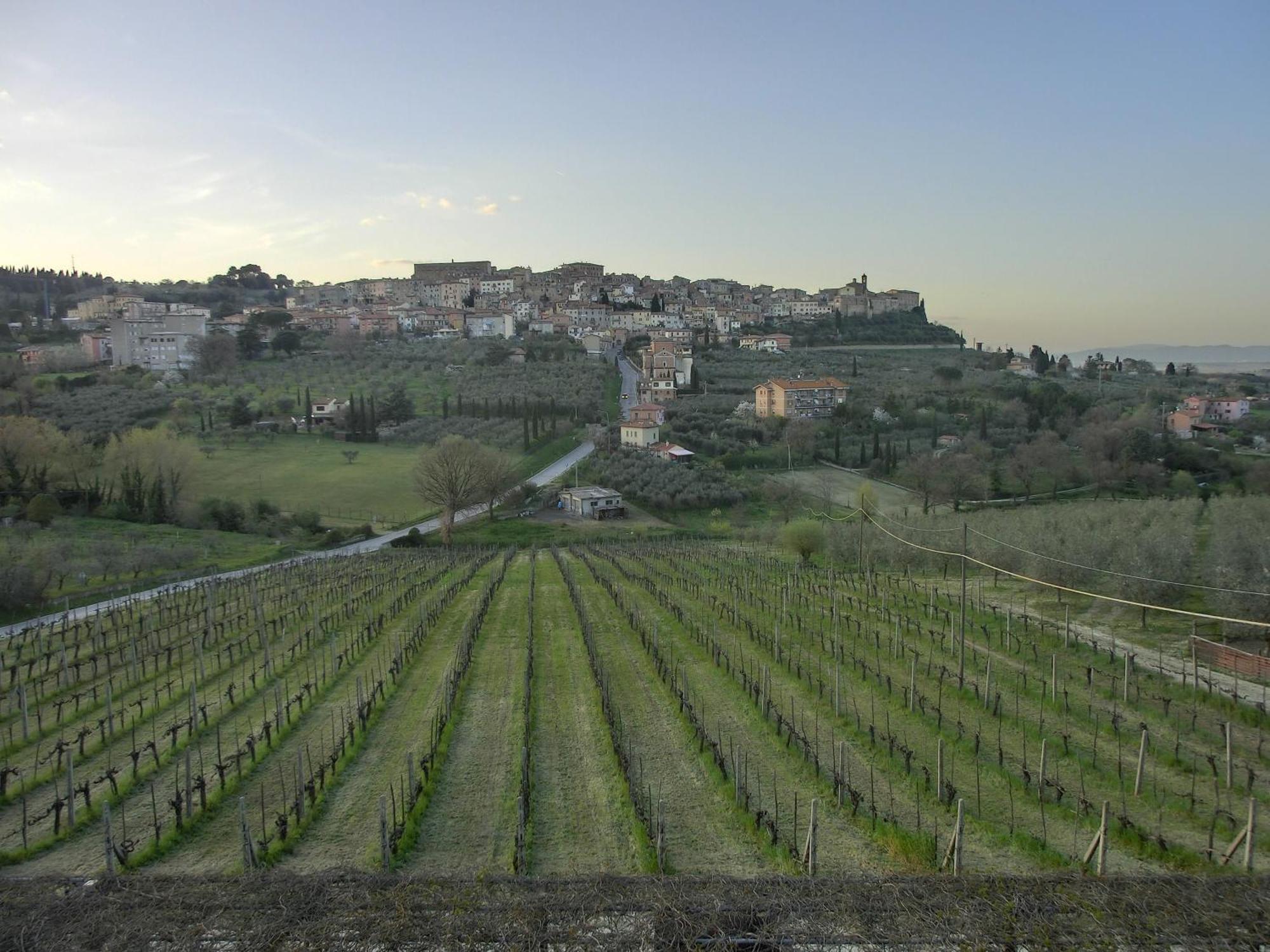 Agriturismo La Pietriccia Chianciano Terme Eksteriør bilde