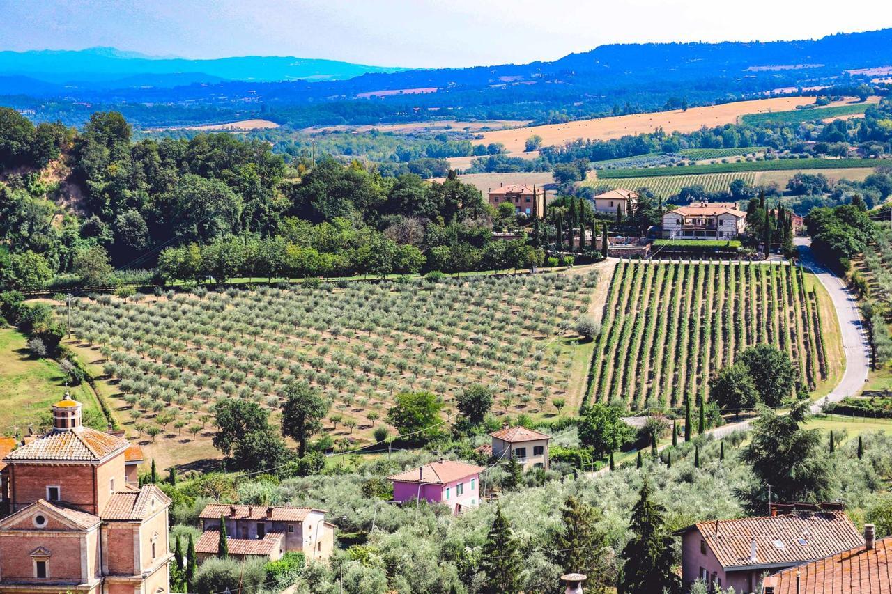 Agriturismo La Pietriccia Chianciano Terme Eksteriør bilde
